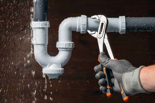 Professional Plumbing technician working in Ranburne, AL